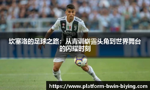 坎塞洛的足球之路：从青训崭露头角到世界舞台的闪耀时刻